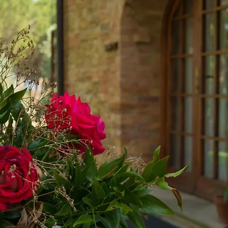 Appartement In With Garden And Pool