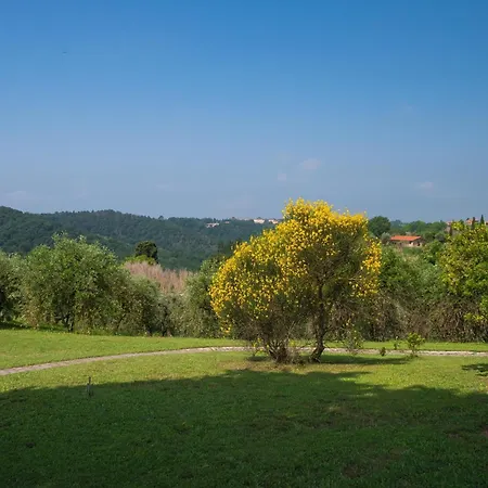 Apartment In With Garden And Pool Montaione