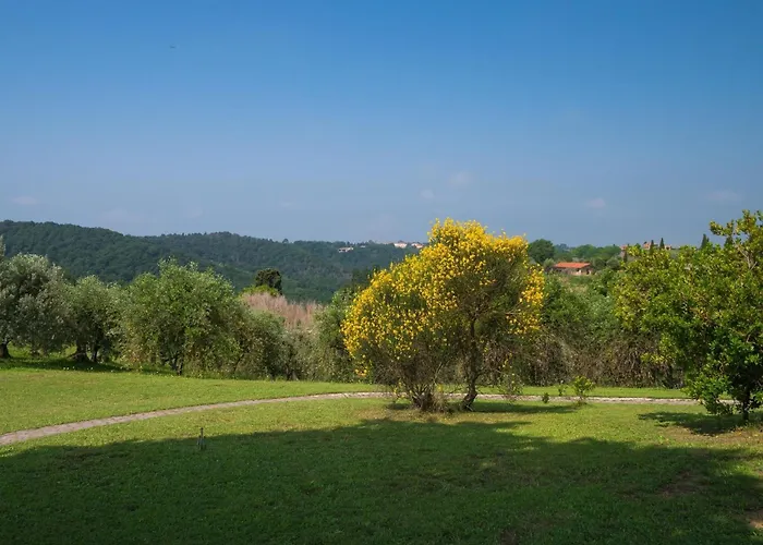Apartment In Tuscany With Pool And Scenic Views Montaione